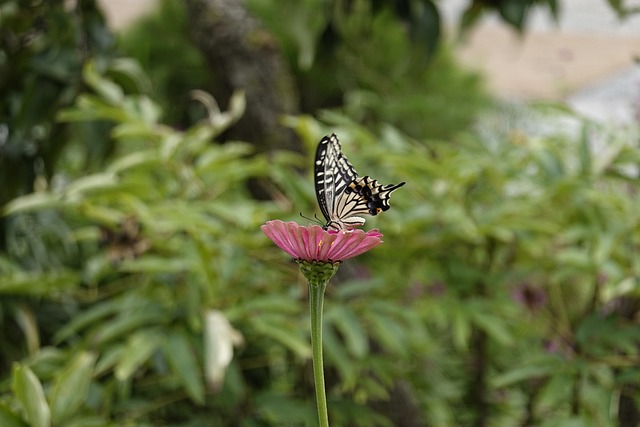 节让