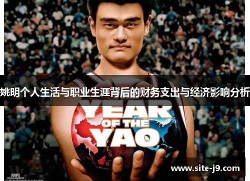 姚明个人生活与职业生涯背后的财务支出与经济影响分析