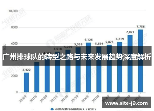 广州排球队的转型之路与未来发展趋势深度解析