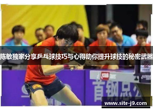 陈敏独家分享乒乓球技巧与心得助你提升球技的秘密武器