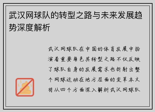 武汉网球队的转型之路与未来发展趋势深度解析